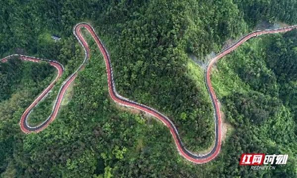 　　插園公路。