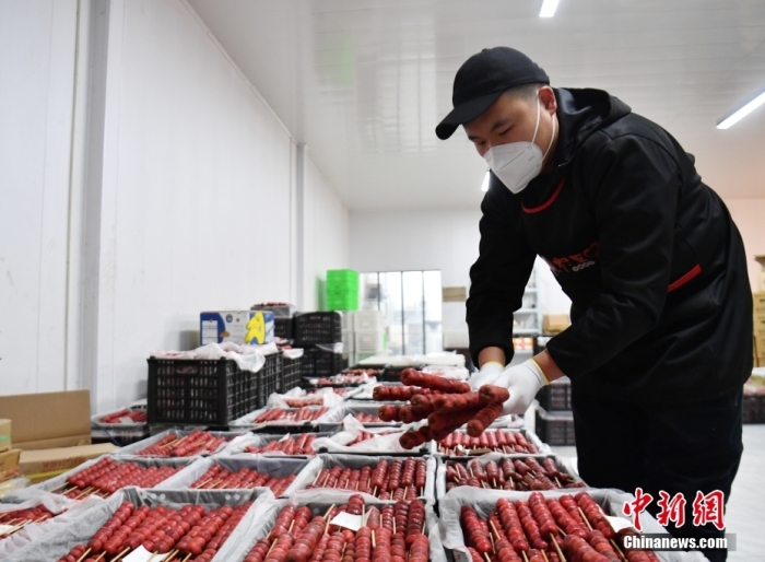 1月18日，雄安新區(qū)大樹劉莊村辛愛(ài)青家中的冰糖葫蘆加工廠，工人正在制作冰糖葫蘆。作為遠(yuǎn)近聞名的“冰糖葫蘆村”，大樹劉莊村制作冰糖葫蘆的歷史已有100多年，全村三分之二的村民都會(huì)這門手藝，吸引不少游客慕名而來(lái)。 中新社記者 韓冰 攝