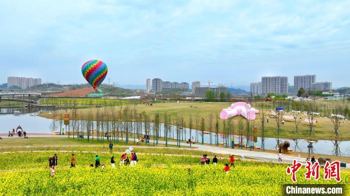 湖北宜昌卷橋河濕地公園內(nèi)，市民相伴享受都市里的田園之樂 周星亮 攝