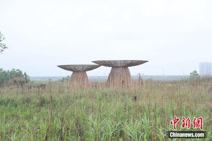 江水變清、江豚重現(xiàn)……這座城市如何守護(hù)碧水