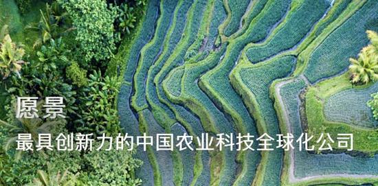 先正達(dá)過會(huì)！A股史上第四大IPO什么來頭？