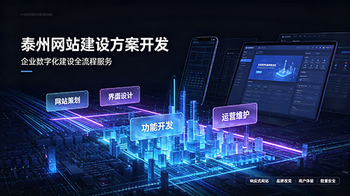 泰州網(wǎng)站建設(shè)方案開(kāi)發(fā)